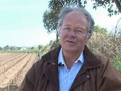 VOICED: New vineyard to soothe Sark's grapes of wrath News Clip
