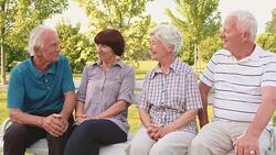 Two senior couples chatting and laughing in the park Stock Footage