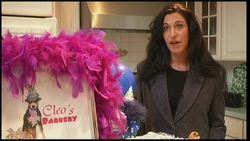 Bark Mitzvah pet craze in US Instructional Video