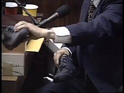 USA: OJ SIMPSON TRIAL News Clip