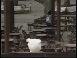 Tokyo zoo practices for release of bear during earthquake News Clip