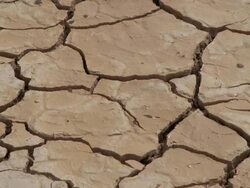  CU Wet cracks on arid desert / Mojave, California, USA Stock Footage