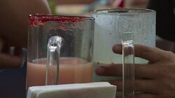 CLEAN : Mexico quake initiative: A glass of pulque for a bag of aid News Clip