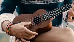 Hippie girl playing ukulele Stock Footage