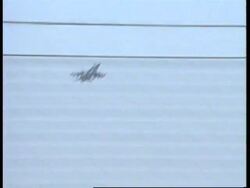 Italy - NATO Warplanes Leave Aviano For Bosnia News Clip