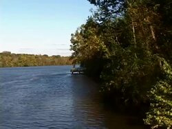 Late Afternoon River Stock Footage