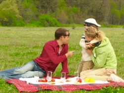 Family in picnic Stock Footage