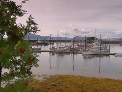 "Pan right of marina, Metlakatla, Annette Island, Alexander Archipelago, Alaska" Stock Footage
