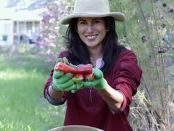 Hispanic woman holding peppers from garden Stock Footage