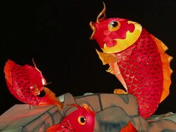 CU Chinese New year lantern goldfish blowing bubbles Stock Footage