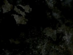 FOAM : dark (LOOP) Stock Footage