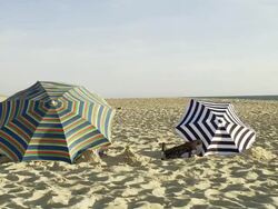 MS Two parasols on beach in wind / Cap de l'Homy, Aquitaine, France Stock Footage