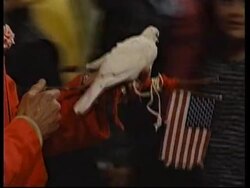 Reax from people in the streets News Clip