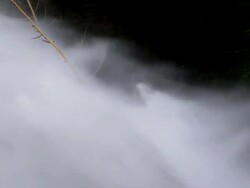 HD Flood Waves Destroying Trees Slow Motion Stock Footage