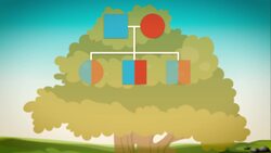 Why Do You Love Your Family? Instructional Video