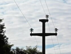 Italian Power Line Stock Footage