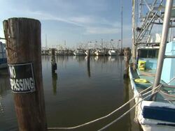 Fishing Boats in Harbour in Buras-Triumph News Clip