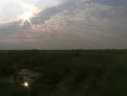 WS POV Grass over river / Everglades, Florida, USA Stock Footage