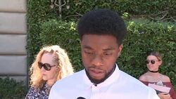 INTERVIEW - Chadwick Boseman at The Rape Foundation's Annual Brunch Stock Footage