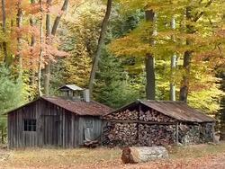 WS Shot of Fallow wooden house in autumn / Combermere, Ontario, Canada Stock Footage