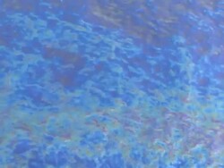 Environment Stock Footage