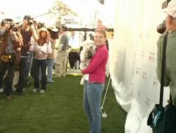 4th Annual Nuts For Mutts Event Stock Footage
