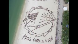 MULTIPLE PROTESTS AHEAD OF UN'S +20 CONFERENCE Instructional Video