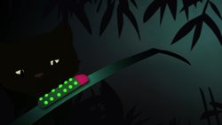 TED-Ed: The brilliance of bioluminescence - Leslie Kenna Instructional Video