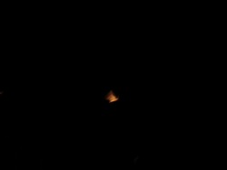 Egyptian fruit bat or Egyptian rousette (Rousettus aegyptiacus) flying at night Stock Footage