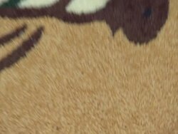 Atmosphere at the 'Winnie The Pooh' Honey-Colored-Carpet Premiere at Burbank CA. (Footage by WireImage Video/Getty Images Entertainment Video) Stock Footage