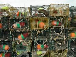 Rectangular cages with fishing gear inside Stock Footage
