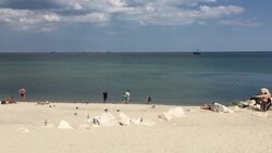 Fishermen fishing on the city beach in Varna Stock Footage