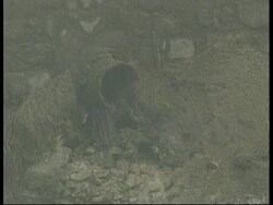 State Council releases report on state of China's environment News Clip