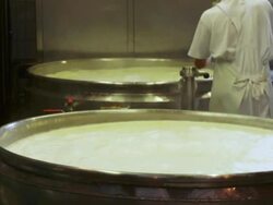 Stirring Milk for Cheese Production Stock Footage