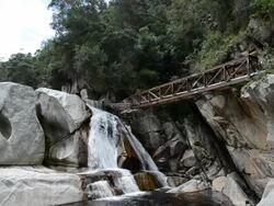 Wilderness - Blyde River Stock Footage