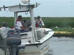 Gulf of Mexico oil spill, cleanup efforts Stock Footage