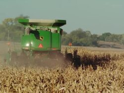 A combine travels away from camera, harvesting corn in a large field, the shaft is discharged and blows in the wind. Stock Footage