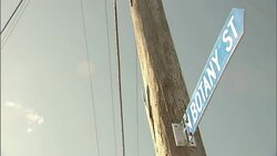 A sign indicates Botany Street. Stock Footage