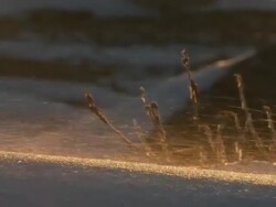 CU Blowing snow in golden light / Churchill, Manitoba, Canada Stock Footage