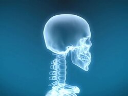 X-Ray Skeleton Drinking Fluid Stock Footage