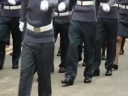 Royal Air Force in a march / parade Stock Footage
