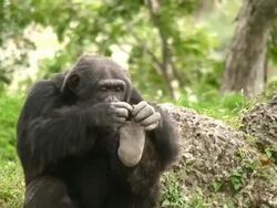 Foot Check Stock Footage