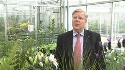 HAY FEVER FREE GARDENING News Clip