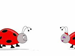 Love at First Sight Stock Footage