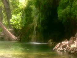 HD 1080i Lush Natural Springs Stock Footage