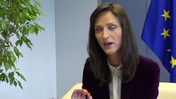 CLEAN : Step up fake news fight at election time says top EU official News Clip