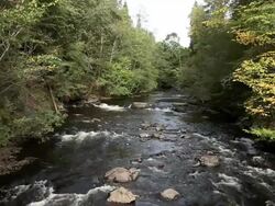 River in early fall. Stock Footage