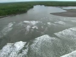 Long Shot aerial push-in-A flooded plain surrounds a rubber tree plantation. / Guatemala Stock Footage