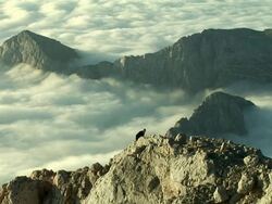 HD: Extreme climbing Stock Footage