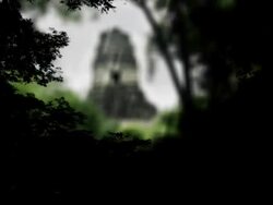 Mayan Ruins at Tikal, Guatemala Stock Footage